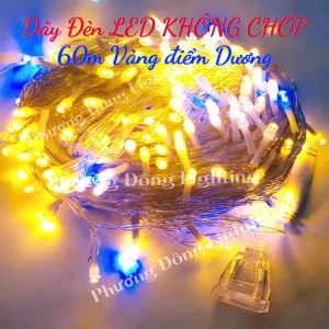 Dây đèn LED KHÔNG CHỚP Trang trí Noel Lễ Tết màu Vàng điểm Dương Dài 60m Có phích cắm nối tiếp
