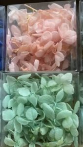 READY STOCK Preserved Hydrangea Grade A/B Decoration Preserved Flower Hidrangea Hiasan semulajadi A/B级木绣球 安娜绣球