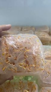 Trải Nghiệm 50g Đông Trùng Hạ Thảo VIP Sấy Thăng Hoa  Dữ Nguyên Chất Dinh Dưỡng - Hàng Cao Cấp Ngâm Với Mật Ong Pha Trà Nấu Ăn Bổ Dưỡng Cho Sức Khoẻ - Tin Sâm