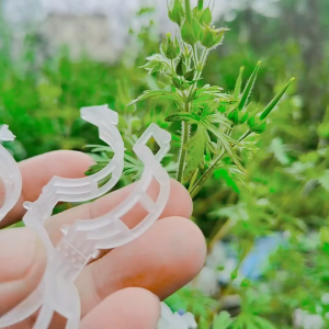 Bộ 100 Kẹp thân cây dây leo kẹp nhánh kẹp cố định cây trồng tái sử dụng được nhiều lần -LUMBL