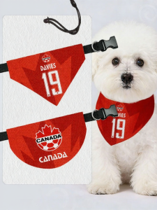 LEXI | Fan Scarf