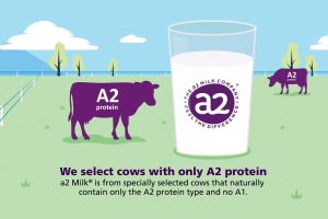 Sữa tươi dạng bột A2 nhập Úc 1kg