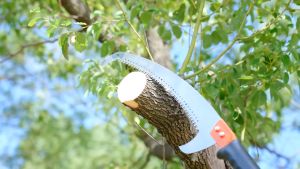 Dual Hook Gergaji Pokok 600mm Garden Tree Pruning Saw Tree Cutting Saw Tree Branches Cutter