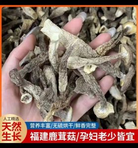 Deerhorn Dried Mushroom Crisp Mushroom Fresh Antler Mushroom Fujian Farm Coral Mushroom Mushroom Soup Ingredients Agricultural Products