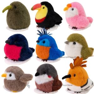 Various Cute kiwi Birds Plush Toys Toucan Parrot Circus Blue Crowned Goura Cristata Owl Hoopoe Binque Mountain Blackeye Animals