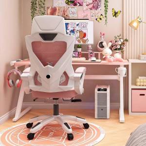 Ergonomic Comfortable Study and Office Chair