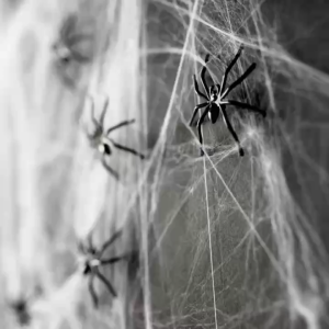 BIN LU Fake Spider WebHalloween Spider Web Decoration & Spider DecorationBat Decoration – Halloween DisplayHalloween Party DecorsHallooween Decoration & Party Needs Decorations with Pumpkin Basket for Halloween Decorations Set