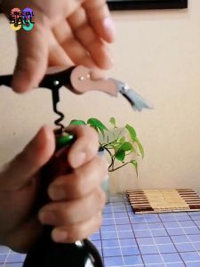 Multi Functional Stainless Steel Seahorse Knife Beer and Red Wine Bottle Opener with Small Knife