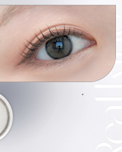 [OLENS] 1 Day Contact Lens <REAL RING> (Gray Color)(12.5mm)(10P)(20P)
