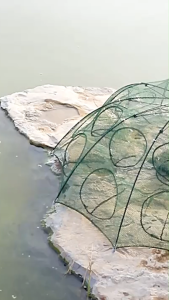 Lồng Bát Quái Bắt Cá Tôm Lồng Lục Quái Tự Bung Gấp Gọn Khung Thép Chống Gỉ Nhiều Cửa