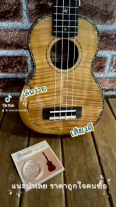 Sonata Strings Aquila New Nylgut Ukulele Strings สายอูคูเลเล่ สายยูคู่ เล่นง่าย ไม่เจ็บนิ้ว เสียงดี ได้มาตรฐาน (4 สาย/SET) สายคละสี