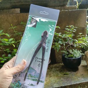 Catok Bonsai MSTWA Miring 165cm