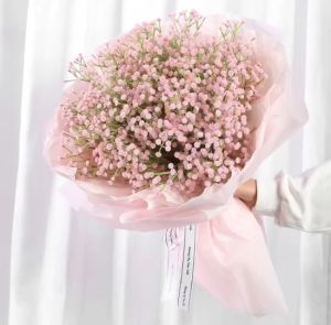 ดอกยิปโซ ดอกไม้ปลอม ดอกไม้พลาสติก ดอกไม้ประดิษฐ์ ดอกไม้สวยๆ และดอกไม้สีสวย Starry