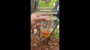 Liquinox Start USA Vitamin B1 Tanaman Original 100ml