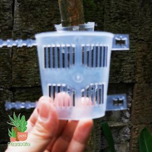 adjustable plastic grafting pot Best for grafting marcotting or epiphtyes