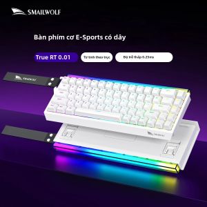 SMAILWOLF | Bàn Phím Cơ Thể Thao Điện Tử SMAILWOLF SK11 Hiệu Ứng Ánh Sáng RGB Tốc Độ Phản Hồi 8K 025ms Độ Trễ Thấp Trục Từ Tính Thiết Kế Ruy Băng Tinh Tế