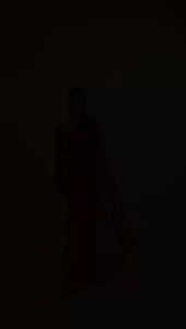 [PRE-ORDER]PARTYWEAR DESIGNER WEAR FAUX GEORGETTE SEQUANCE EMBROIDERED WORK SAREE [DELIVERY TIME 12 DAYS]