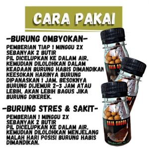 100 BUTIR JAMU HERBAL PERKUTUT RAJA GACOR pil apbn bird care prebiotik madura koong super kuong jpj gold coin dewa gacor crystal perkutut super biru phoenix bhocor larasati suhu kicau bio ginseng vitamin pakan perkutut sakti phoenix milet sangkar kurung