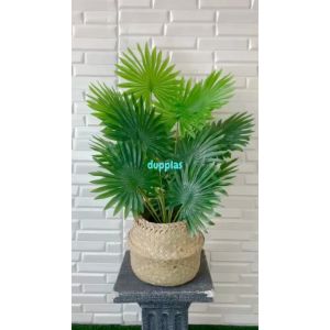 Pohon Hias Tanaman Plastik Palem Sadeng X18 Semilatex Cover Pot Anyaman Purun Belly Dekorasi Cafe Hiasan Rumah