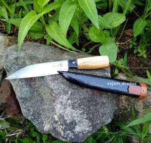 pisau dapur serbaguna (baja strif 12cm)bayar di tempat