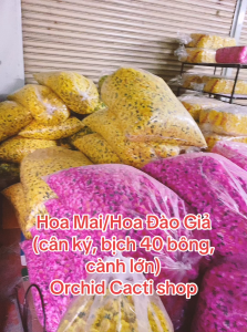 [Tặng 5 dây liễn đủ mẫu] 1Kg Hỗn hợp Bông Mai/Bông Đào Vải + kẽm búp lá nụ - trang trí cây mai cây đào tết