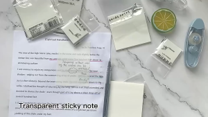 Ecoplanet Transparent Sticky Notes 50Sheets Waterproof & Clear Sticky Note Pad(5 sizes) W13