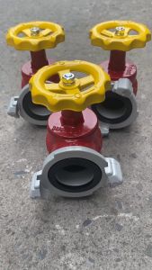 Van khóa nước van góc pccc bằng gang Tomoken có tem kiểm định. DN50 và DN65 dùng trong hệ thống ᴄhữa cháy vách tường