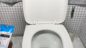 ถุงสวมฝาชักโครก แบบใช้แล้วทิ้ง สะอาด ป้องกันการติดเชื้อ สำหรับสวมรองนั่งชักโครกในห้องน้ำสาธารณะ