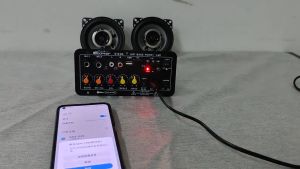 D10-Ⅱ Power Amplifier Board Untuk 8-12 Inci Speaker AC 220V DC 12V 24V HIFI Penguat Daya Subwoofer Dual Mendukung USB TF Remote