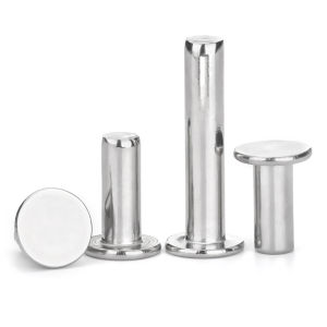 Yi Se Dian Zi | Flat Head Solid Rivet 304 Stainless Steel