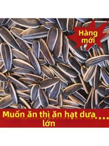 Hạt Hướng Dương Hạt Lớn Mới Rang