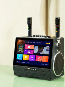 HUABAO | Outdoor KTV All-in-one Speaker with Display