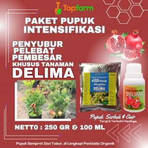 Pupuk Pelebat Buah Delima & Pupuk Anti Rontok