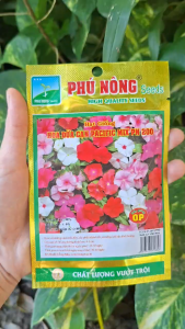 [TRUNG THIEN THINH] Combo 2 gói hạt giống Hoa Dừa Cạn Phú Nông Siêu Bông nhiều màu gói 10 hạt