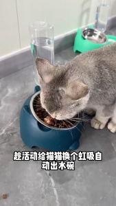 Rubvrenti Pet Automatic Food Feeder Water Dispenser Dogs and Cats 15° Tilt Neck Protection Makanan Kucing