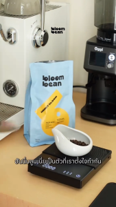 เมล็ดกาแฟคั่วกลาง Bloom Bean รส Honey Bloom จากพันธ์ุอาราบิก้า 100% ใช้เม็ดกาแฟเกรด AA หอมเข้มอร่อยไม่ขม คั่วสดใหม่ แบบบดและไม่บดถุงละ 250g