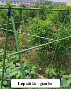Khớp nối chữ A chữ B cố định dùng cho ống thép bọc nhựa làm giàn leo