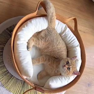 Modern Style Hand Woven Pet Bed Universal For Cats And Dogs Cotton Rope Cat And Dog House