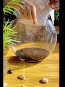 Aquarium plants seeds Aquarium water grass seed carpeting seeds Aquatic live plant for Aquarium Fish tank decoration landscape