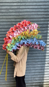 IMPORT 21 KUNTUM ORCHID LATEX BUNGA BUATAN BUNGA DEKOR BUNGA PESTA BUNGA ANGGREK LATEX ONCIDIUM PHALAEONOPSIS ORCHID