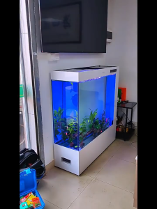 Ultra-Clear Glass Fish Tank | Floor Standing Aquarium Partition Screen | 100/120cm | Custom Size & Colour