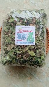 1kg thân lá cây sung sấy khô