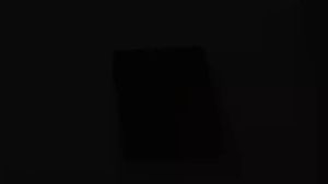 5-in-1 Makeup Brush Set with Mirror – Travel Kit for Effortless Beauty on the Go