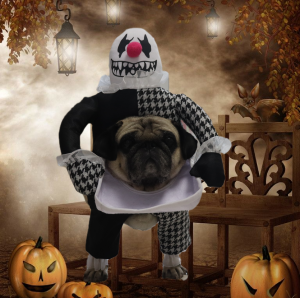 Funny Halloween Transformation Clothes for Pets Dog Costume like Bichon Frise Schnauzer Puppy Cat Dog Clothes British Style