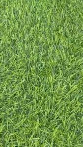 Stiker Tangki Bensin Beat Deluxe 2020-2024: Pelindung Tengki Bensin Beat Fi New