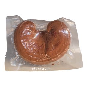 Nấm linh chi đỏ Việt Nam 01 quả thể loại thường