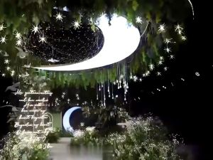 Wedding ceiling decoration lamp sea urchin pendant lamp crystal luminous transparent bird warm light wedding site decoration props mall ceiling aerial ceiling