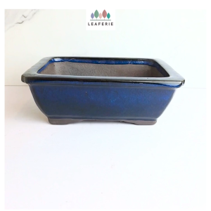 The Leaferie Bonsai Tally (Series 7) Rectangular Plant pot Ceramic Rectangle Flowerpot Flower pots