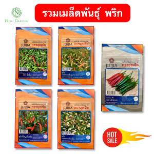 เมล็ดพันธุ์ พริกขี้หนูสวน เผ็ดจิ๊ด ผลเล็กดก พริกกะเหรี่ยง