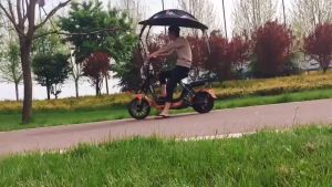 Electric Bicycle Two-wheeled Motorcycle Three-wheeled Motorcycle Canopy Rain-proof and Sun-proof
